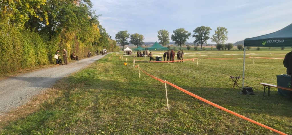 Майданчики індивідуального оцінювання собак у другий день Hegewald 2026