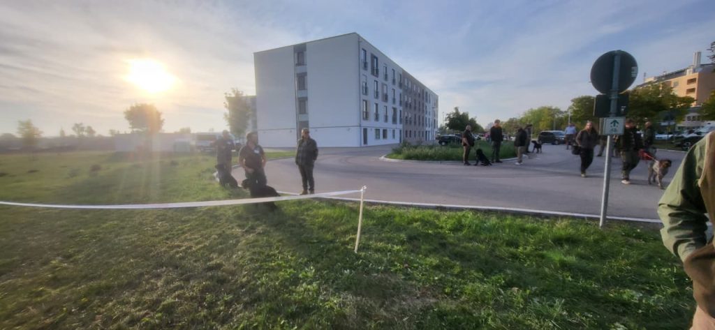 Ранковий збір провідників та собак у другий день Hegewald 2026