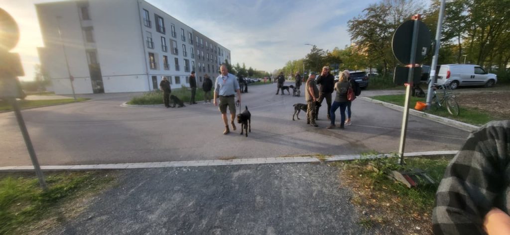 Провідники з Німецькими Дратхаарами вранці другого дня Hegewald 2026