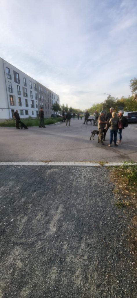 Учасники з Німецькими Дратхаарами перед оцінюванням на Hegewald 2026
